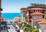 Fortunella foto 4