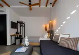 Olive Mykonos Villas foto 11