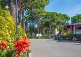 Camping Village Miramare foto 12