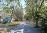 Pini Beach Village foto 13