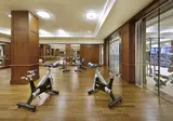 The Ritz-Carlton Abu Dhabi Grand Canal foto 9