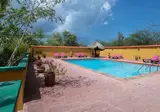 Flamingo Park foto 4