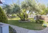 Fly & Go Golden Sun Villas foto 22