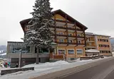 Hotel Alpina Parpan foto 18
