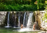 Les Cerisiers Du Jaur foto 10