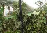 Le Royal Meridien Beach Resort & Spa foto 16