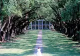The American South foto 10