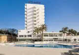 Globales Mimosa foto 30