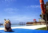 Gran Hotel del Coto foto 30