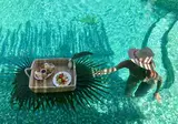 Kimpton Aluna Tulum foto 5