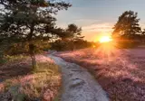 Buitenplaats de Bergse Bossen foto 33