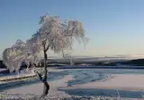 Chaletpark Diemelsee foto 1