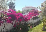 El Capistrano Sur foto 17