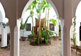 Riad Les Bougainvilliers foto 10
