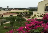 Summerland Hotel & Bungalows foto 19