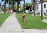 San Benedetto Camping Relais foto 18