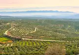 Gouden Driehoek van Andalusië foto 5