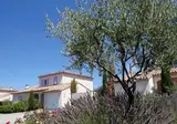 Vallée de la St. Baume foto 10