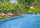Jungle Beach Resort foto 12