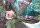 Villa Paola foto 26