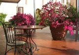 Villa Neroli foto 20