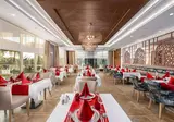 Sidera Kirman Premium foto 38