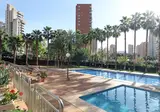 Paraiso Centro foto 1