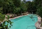 Jolie Jungle Eco Hotel foto 8
