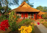 Royal Horizons Baobab foto 13