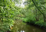 Camping Geelenhoof foto 15