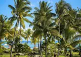 Sofitel Mauritius L'Imperial Resort & Spa foto 24