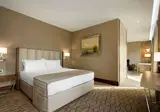 Ramada by Wyndham Sakarya foto 28