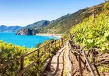 8 daagse wijnroute van de Langhe tot Cinque Terre foto 4