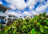 Habitat Bonaire foto 40