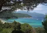 Scaglieri foto 5