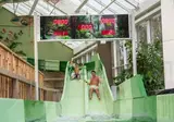 Center Parcs Les Ardennes foto 4