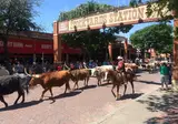 Texas op het gemak foto 14