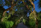 Sun Island Boutique Villas & Spa foto 17