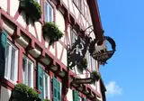Busreis Heidelberg en het mooie Odenwald foto 1