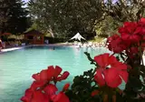 Hotel Terme Forlenza foto 8