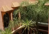 Riad Xo foto 6