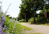 Maaspark de Lithse Ham foto 6