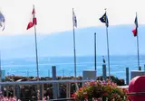 Léman Plage foto 17