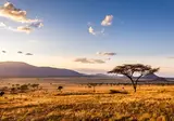 Geheime Schatten van Tanzania foto 14
