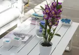 Suite Time Capri Villa La Pergola foto 9