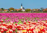 Landgoed Hotel Tatenhove Texel foto 43