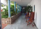 Whala!Tenerife foto 17