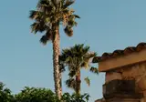 Relais Torre Marabino foto 3