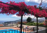 Quinta Mãe dos Homens foto 1