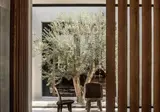 OKU Kos foto 18